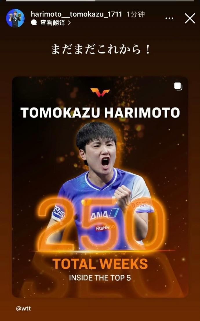 累计250周排名世界前五,张本智和:现在才刚刚开始呢!